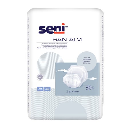 Seni San Alvi
